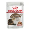 Royal Canin Ageing +12 In Gravy 12x85g