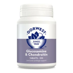 Dorwest Glucosamine & Chondroitin Tablets (pack Of 100)