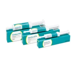 BOEHRINGER Canikur Pro Paste