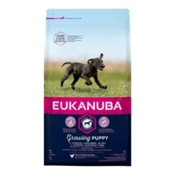 Eukanuba Puppy Large Breed Chicken 2kg