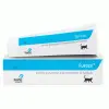 Forte Healthcare Fureze Oral Paste 50g