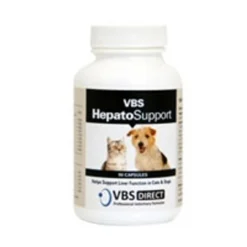 VBS HepatoSupport Capsules (Pack Of 90)