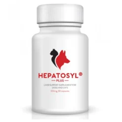 VSL Laboratories Hepatosyl Plus 100mg Capsules (pack Of 30)