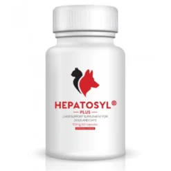 VSL Laboratories Hepatosyl Plus 50mg Capsules (pack Of 60)