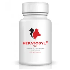 VSL Laboratories Hepatosyl Plus 200mg Capsules (pack Of 60)
