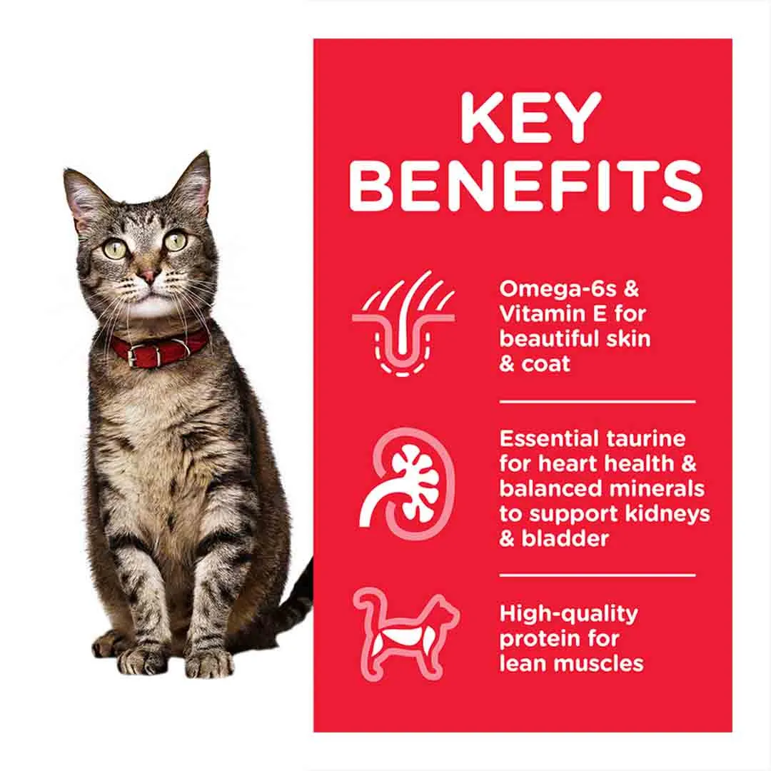 Hills Science Plan Hill's Science Plan Adult Cat Food Lamb & Rice Flavour 1.5kg - Image 3