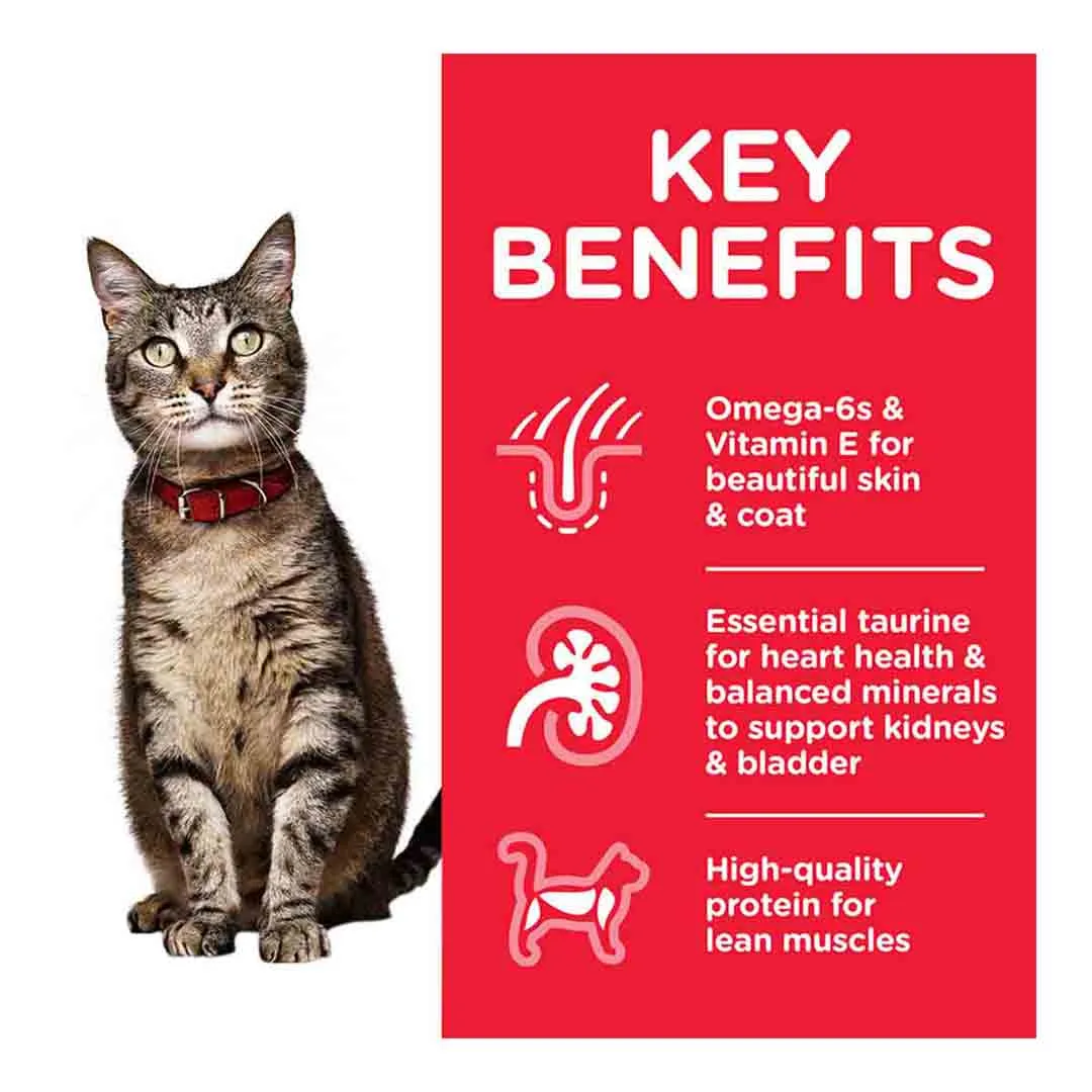 Hills Science Plan Hill's Science Plan Adult Dry Cat Food Tuna Flavour 1.5kg - Image 3