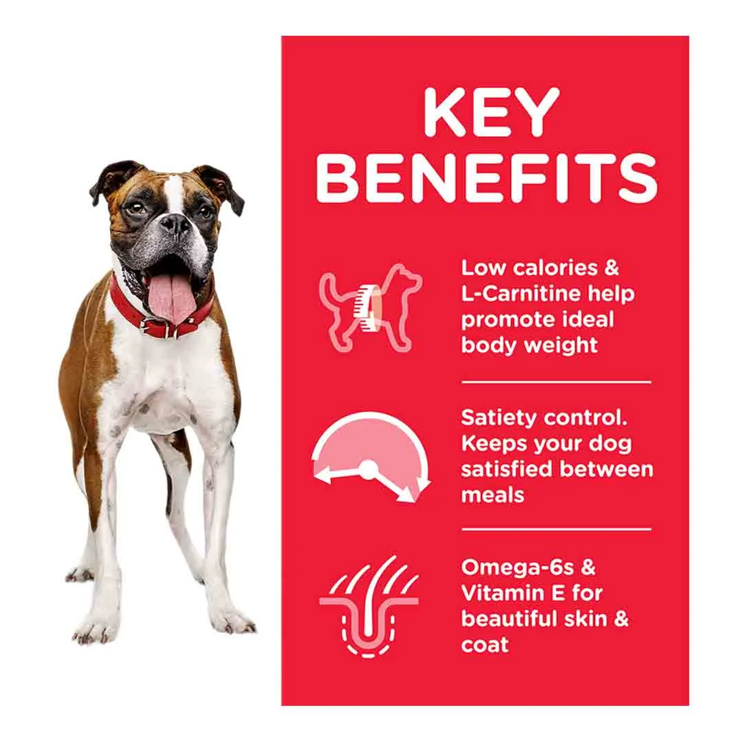 Hills Science Plan Hill's Science Plan Adult Light Medium Dry Dog Food Chicken Flavour 14kg - Image 2