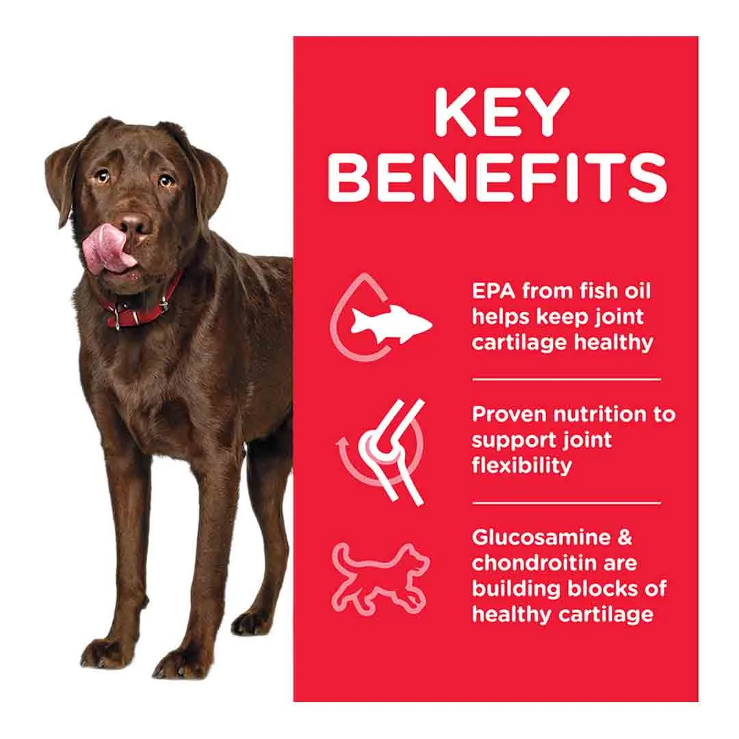 Hills Science Plan Hill's Science Plan Adult Healthy Mobility Large Breed Dry Dog Food Chicken Flavour 14kg - Image 2