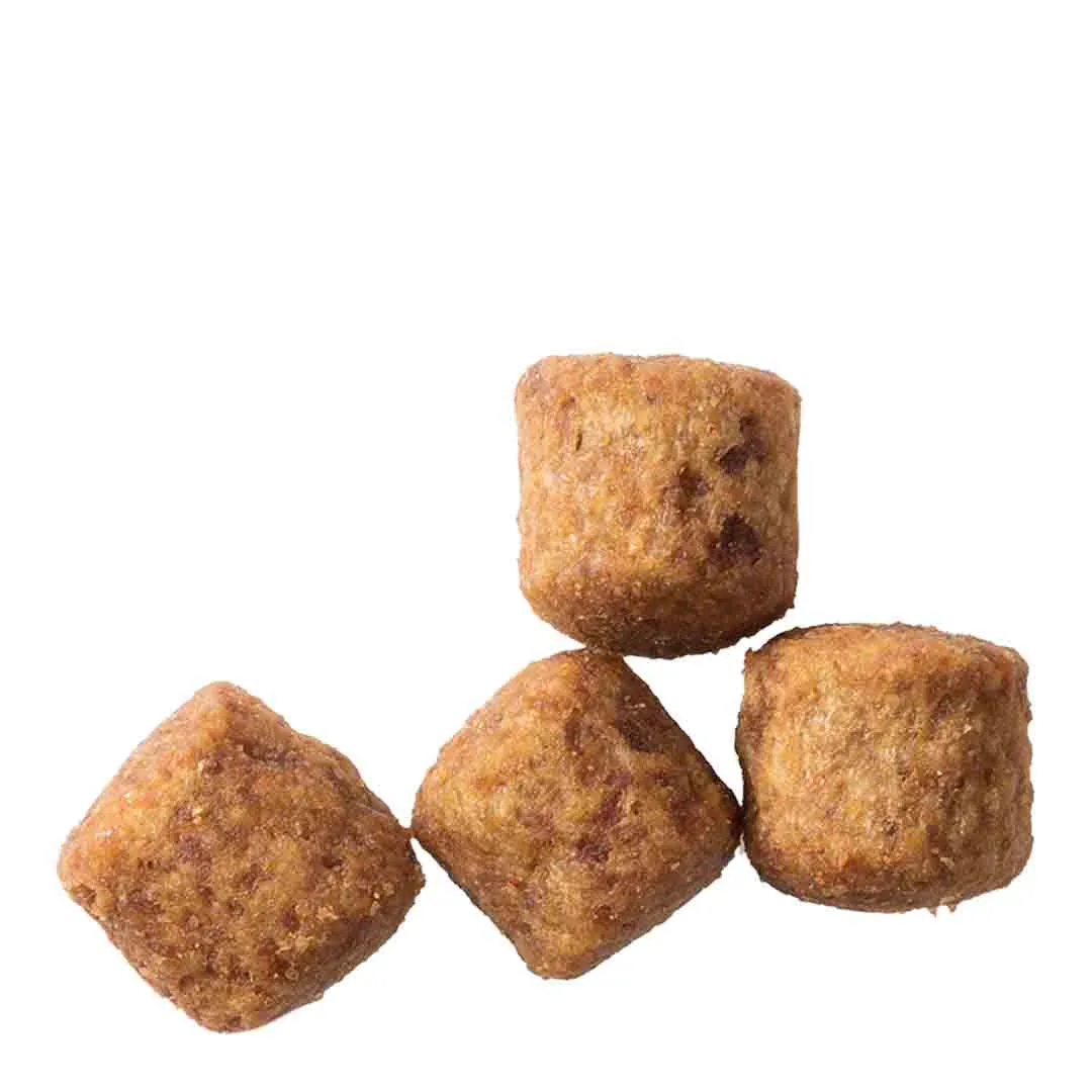 Hills Science Plan Hill's Science Plan Adult Healthy Mobility Large Breed Dry Dog Food Chicken Flavour 14kg - Image 3