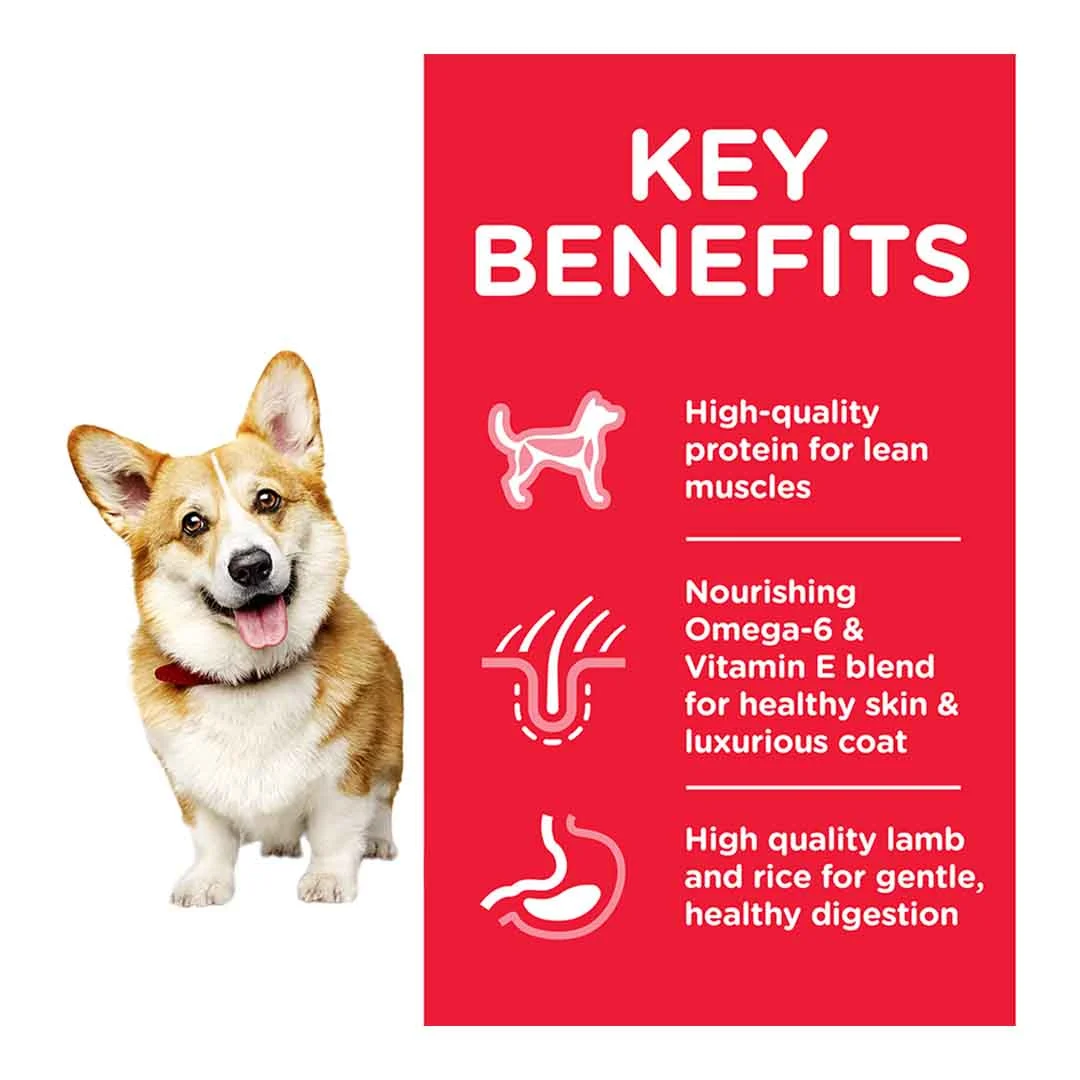 Hills Science Plan Hill's Science Plan Adult Small & Mini Dry Dog Food Chicken Flavour 3kg - Image 2