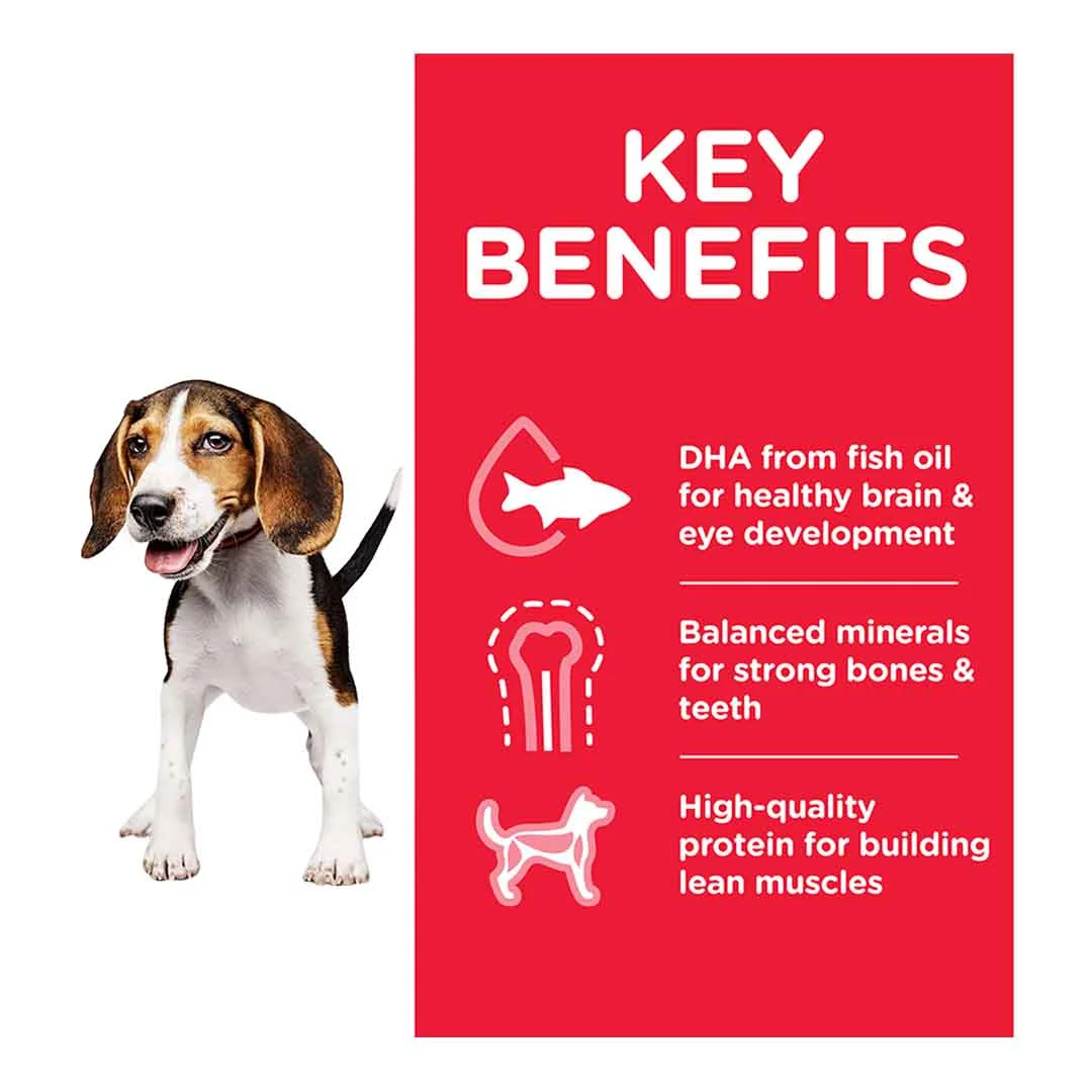 Hills Science Plan Hill's Science Plan Puppy Medium Dry Dog Food Chicken Flavour 2.5kg - Image 2