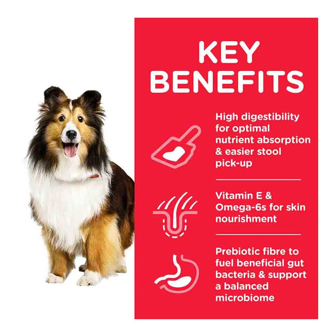 Hills Science Plan Hill's Science Plan Adult Sensitive Stomach & Skin Medium Dry Dog Food Chicken Flavour 2.5kg - Image 2