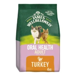 James Wellbeloved Adult Oral Health Turkey 4kg