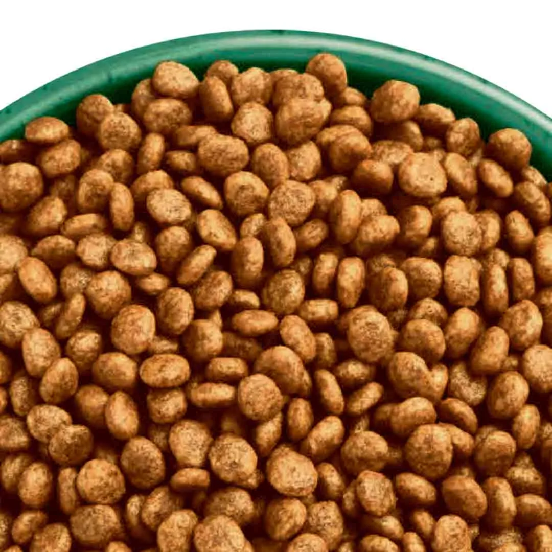 James Wellbeloved Grain Free Adult Turkey 4kg - Image 4