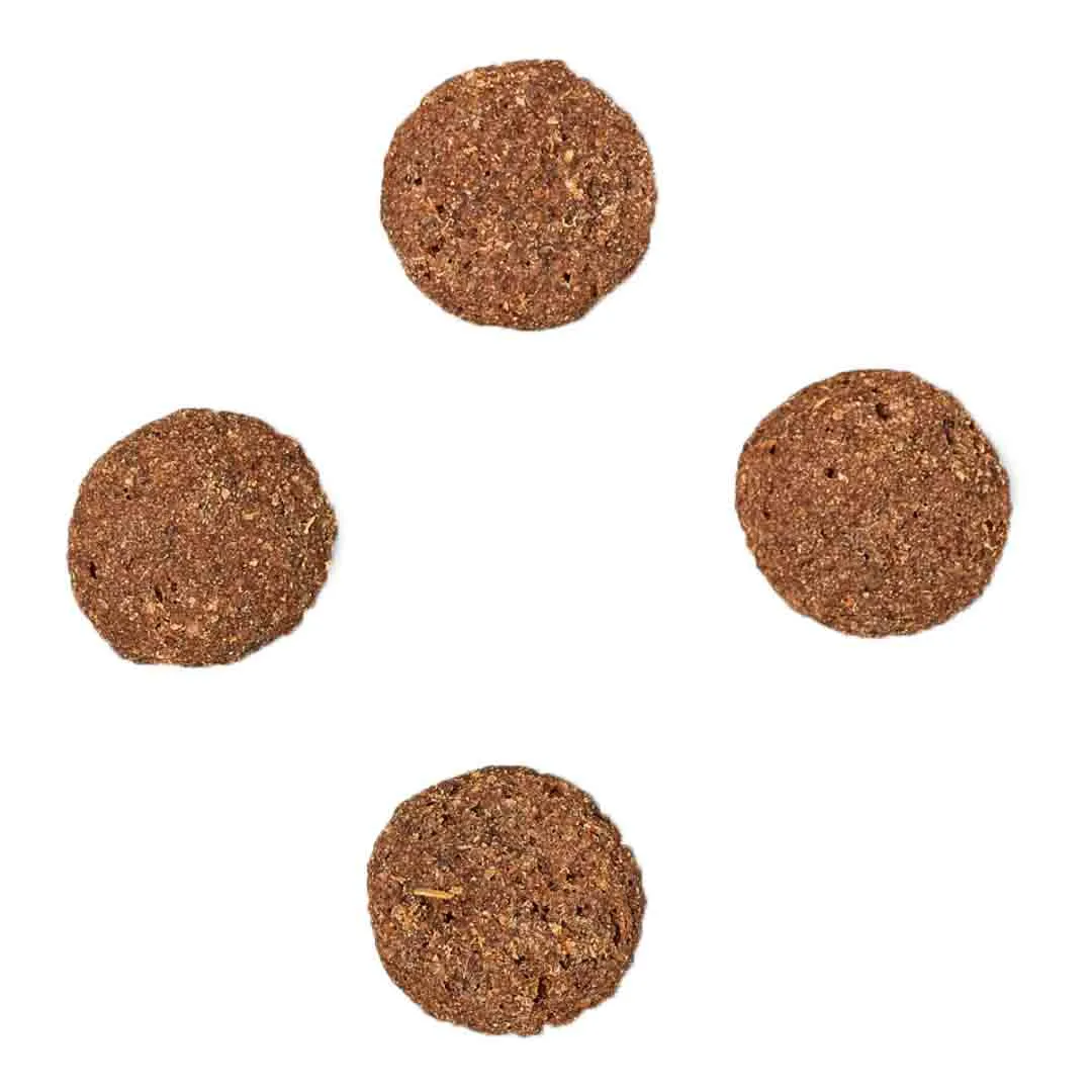 James Wellbeloved Dog Light Turkey & Rice 12.5kg - Image 5