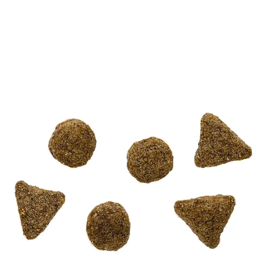 James Wellbeloved Superfoods Adult Lamb With Sweet Potato & Chia 1.5kg - Image 3