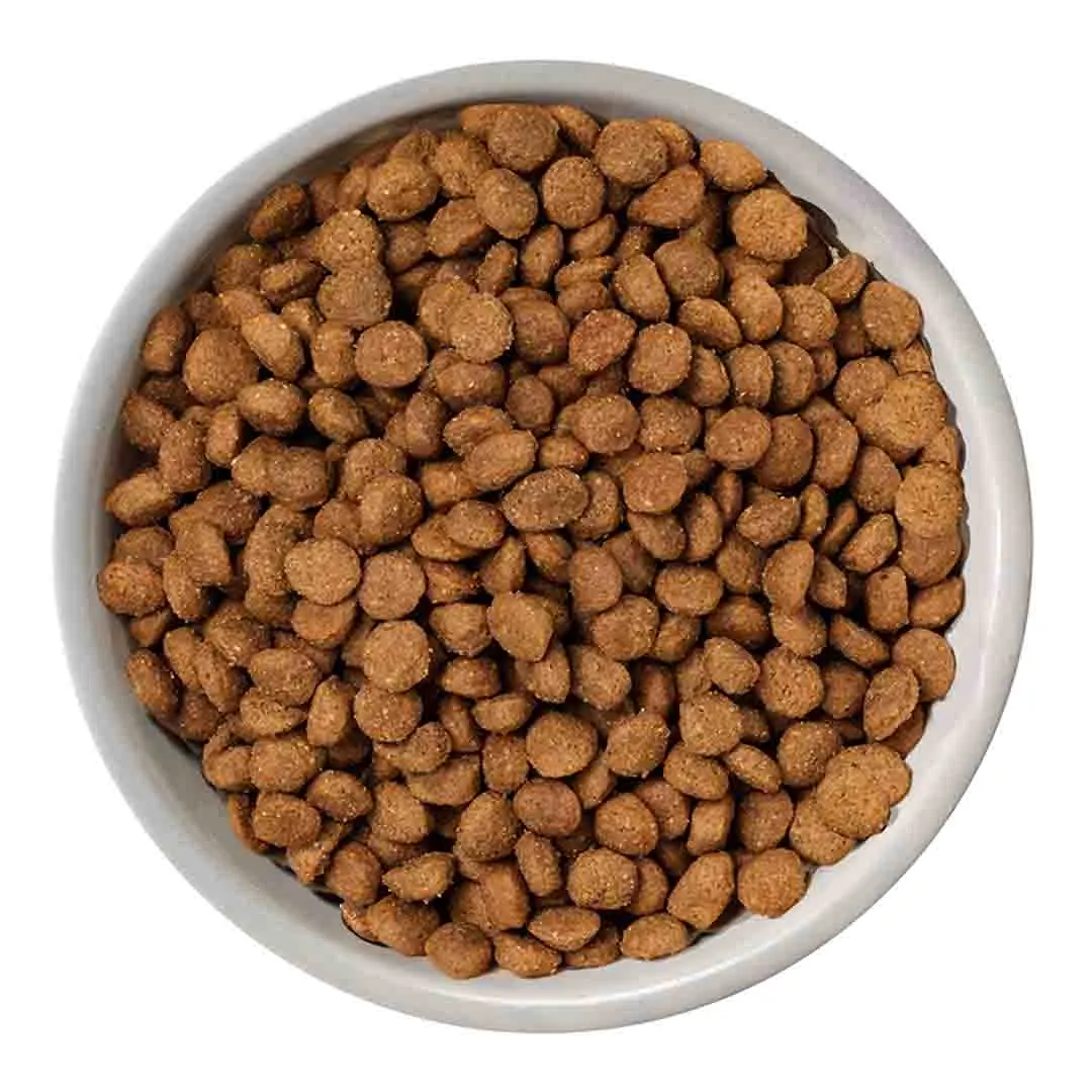 Natures Variety Nature's Variety Selected Dry Mini Adult Dog Norwegian Salmon 1.5kg - Image 4