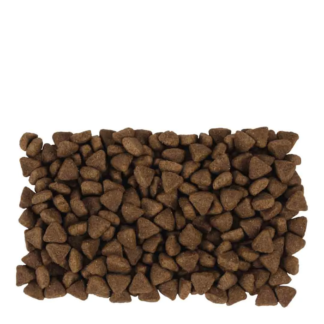 Perfect Fit Adult 1+ Rich In Salmon 2.8kg - Image 3