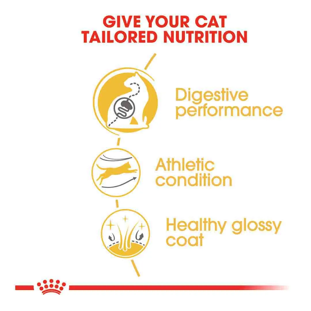Royal Canin Bengal Cat Food 2kg - Image 2