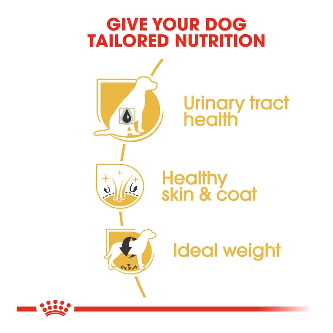 Royal Canin Bichon Frise Adult 1.5kg - Image 4