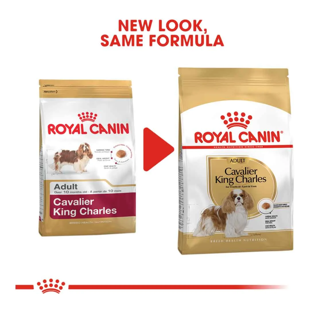 Royal Canin Cavalier King Charles Adult 1.5kg - Image 2