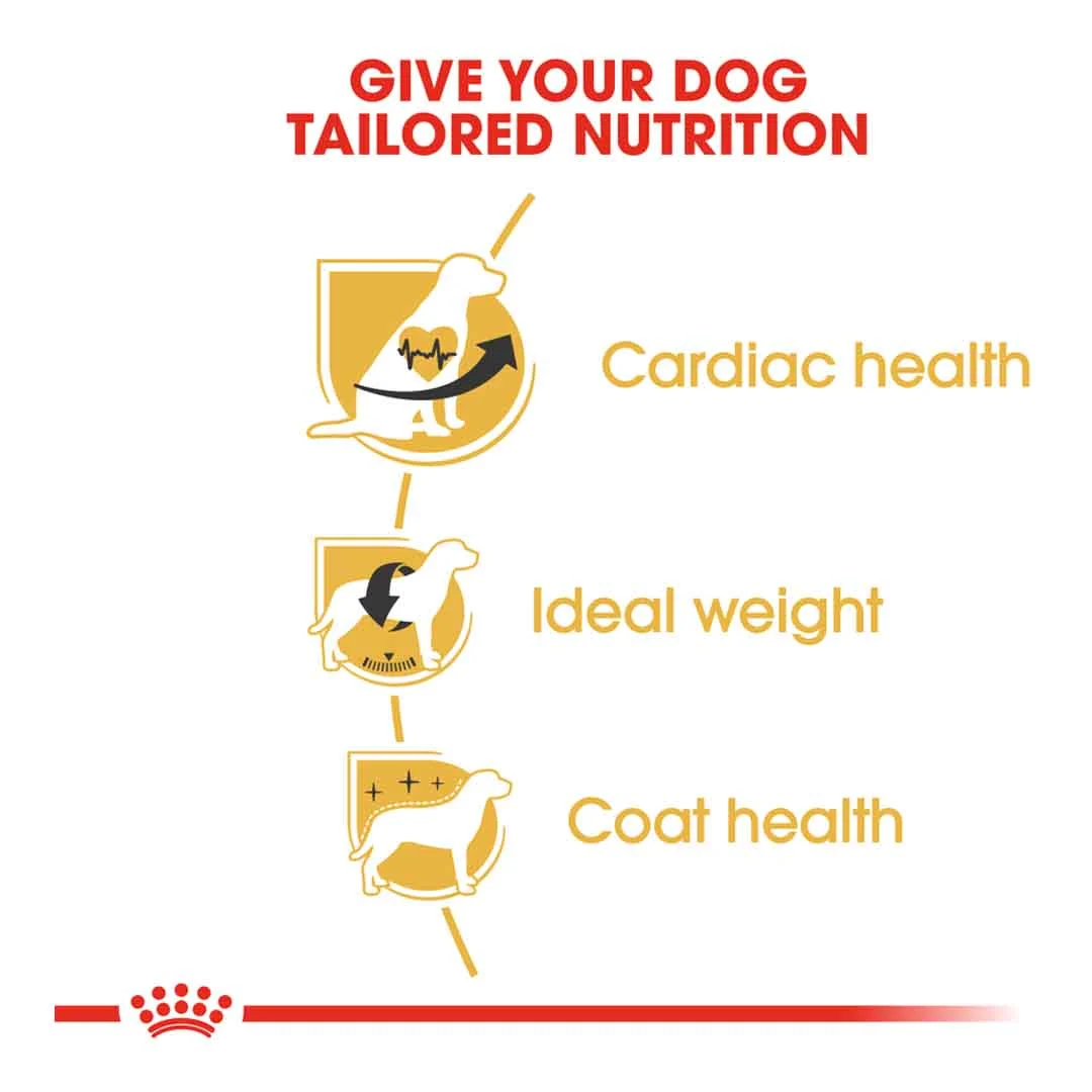 Royal Canin Cavalier King Charles Adult 1.5kg - Image 3