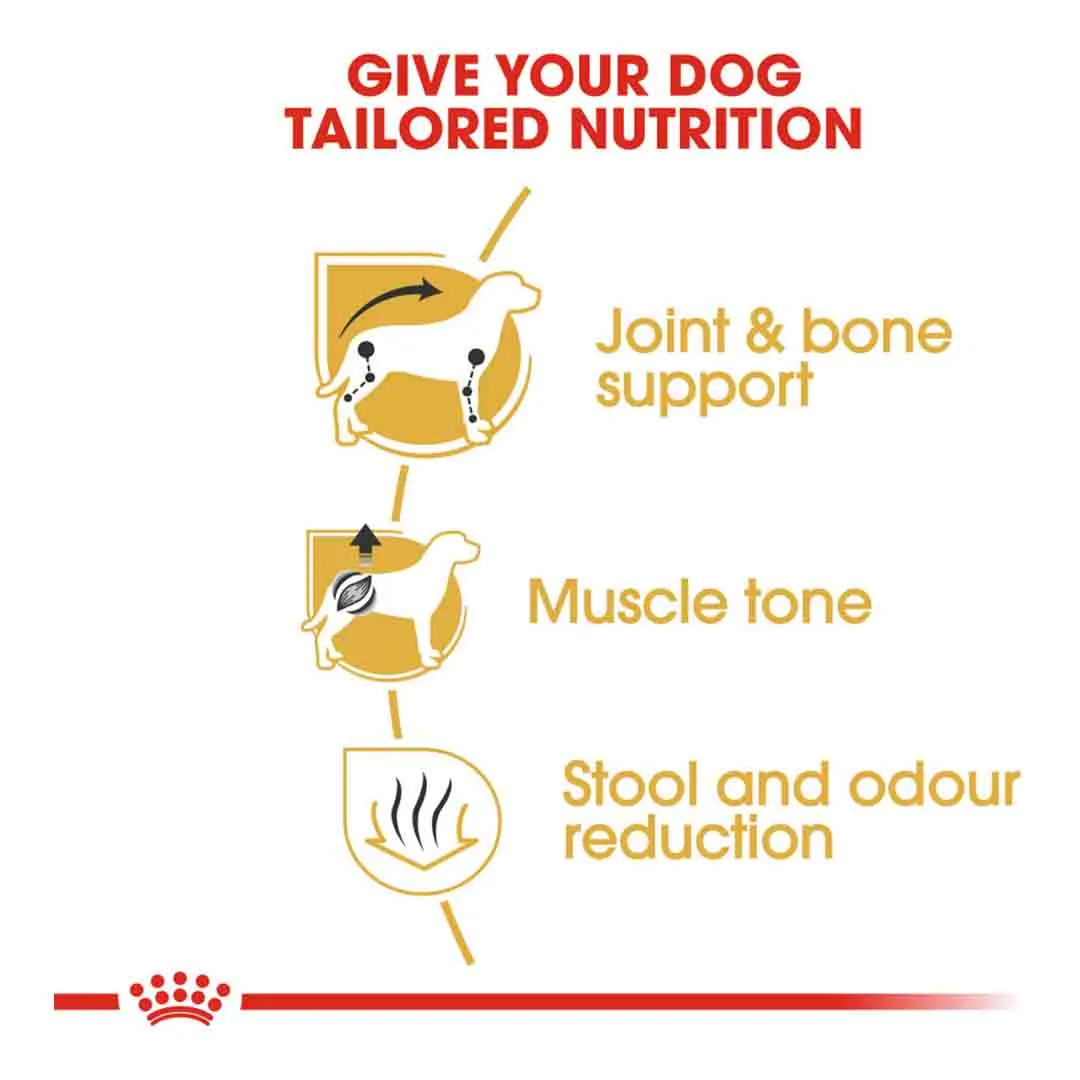 Royal Canin Dachshund Adult 7.5kg - Image 3