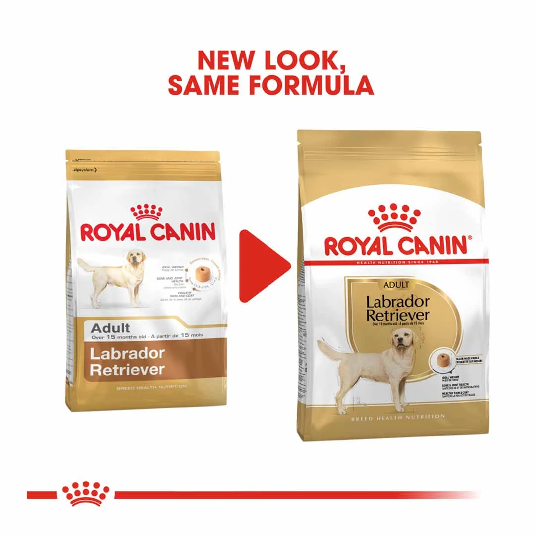 Royal Canin Labrador Retriever Adult 3kg - Image 2