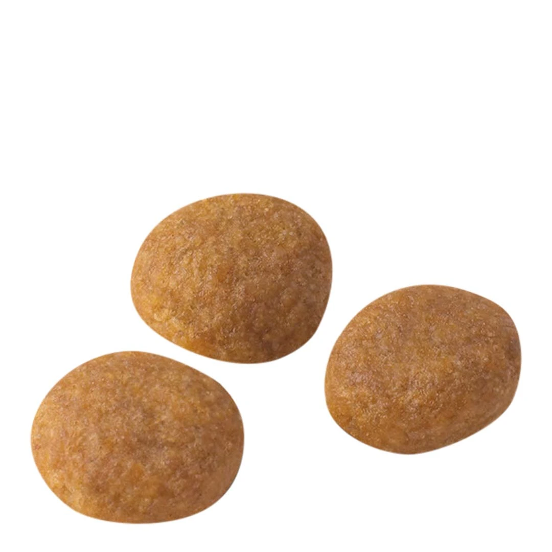 Royal Canin Exigent 33 Aromatic Attraction 2kg - Image 4