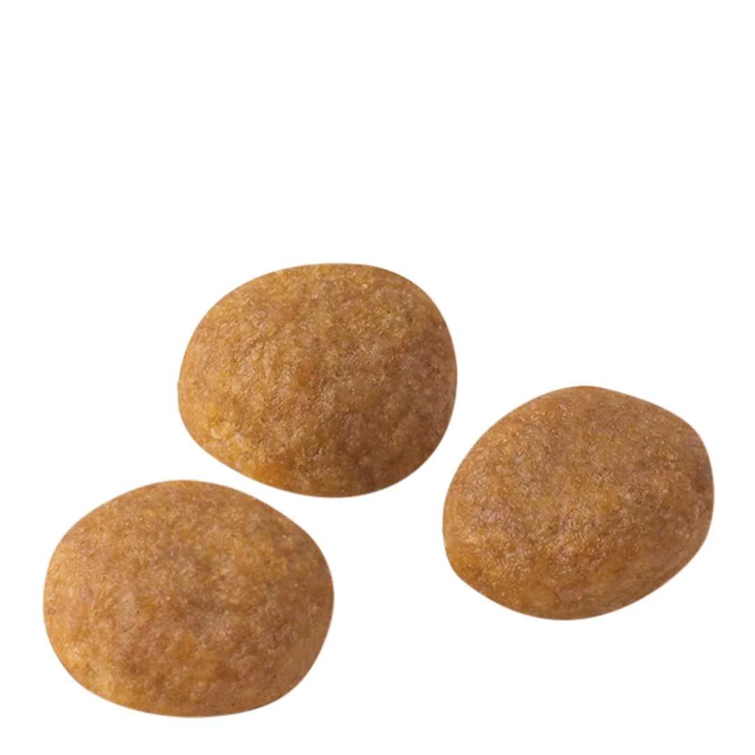 Royal Canin Exigent 33 Aromatic Attraction 4kg - Image 4