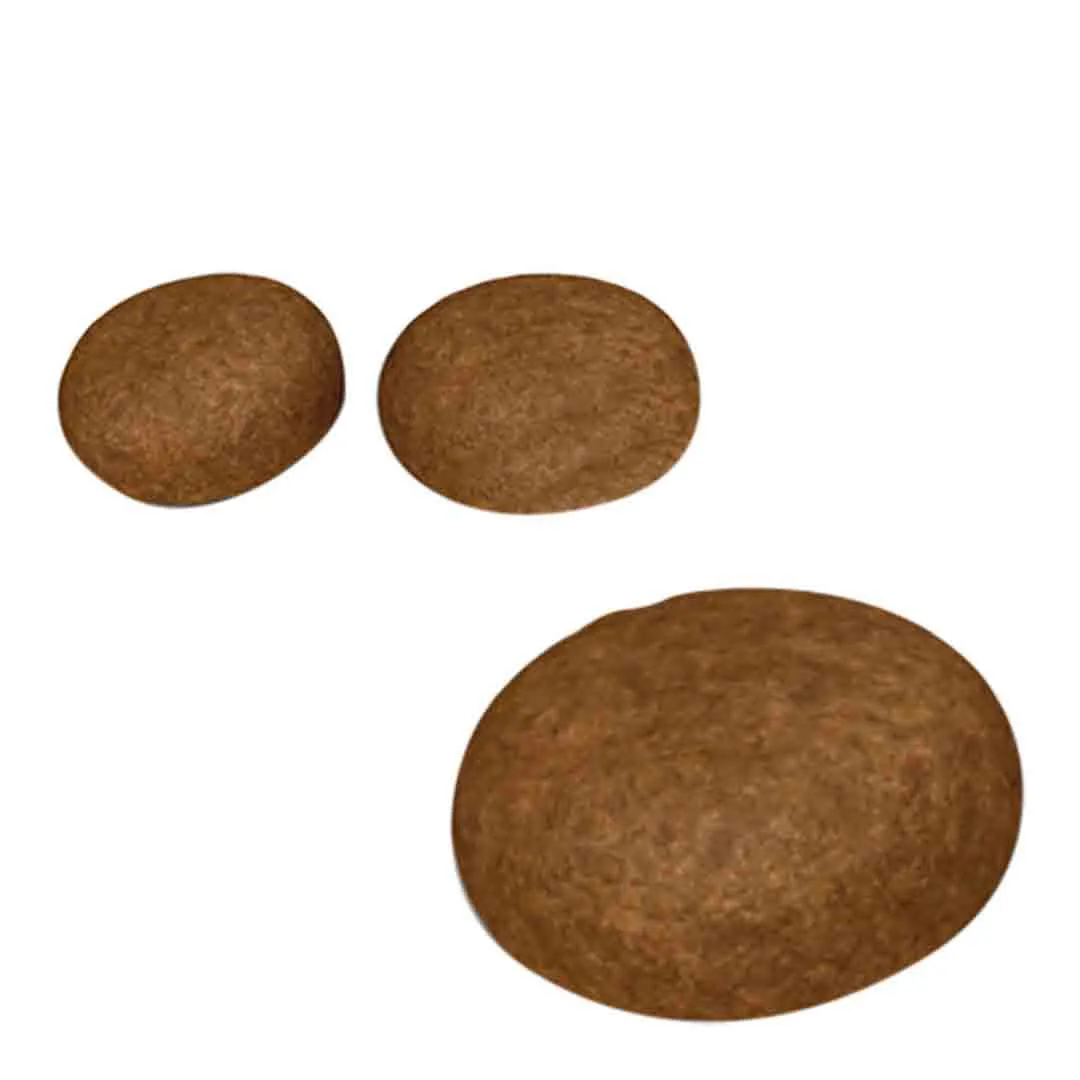 Royal Canin Hair And Skin Care 4kg - Image 4