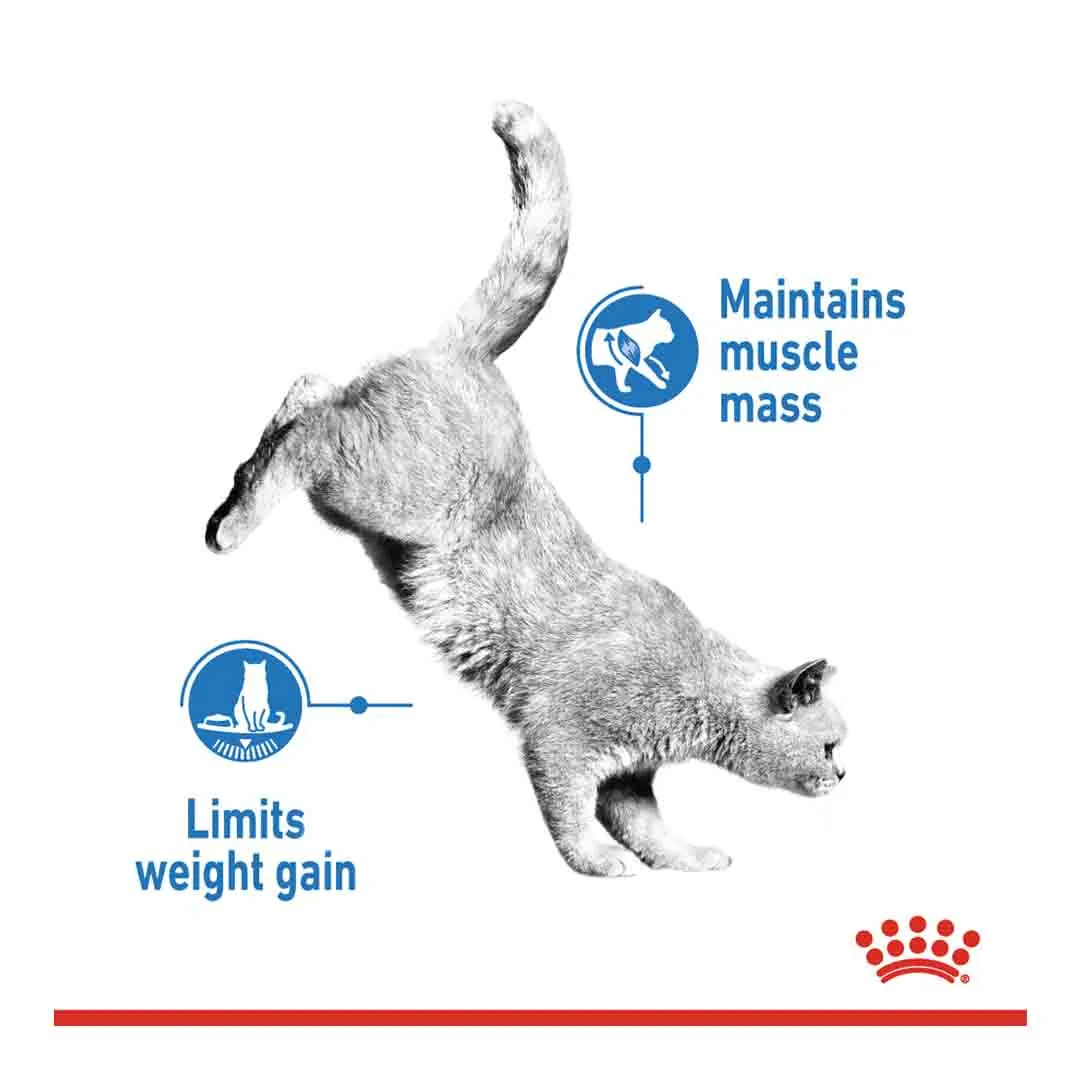 Royal Canin Light 40 2kg - Image 2