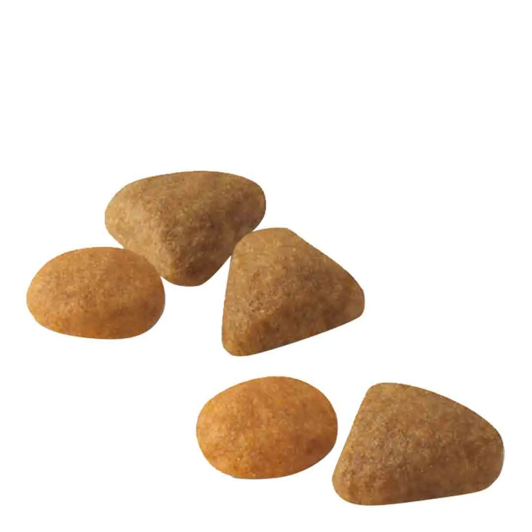 Royal Canin Exigent Savour Sensation 4kg - Image 3