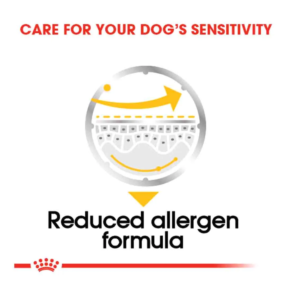 Royal Canin Maxi Sterilised Care Adult Dry Dog Food 9kg - Image 2