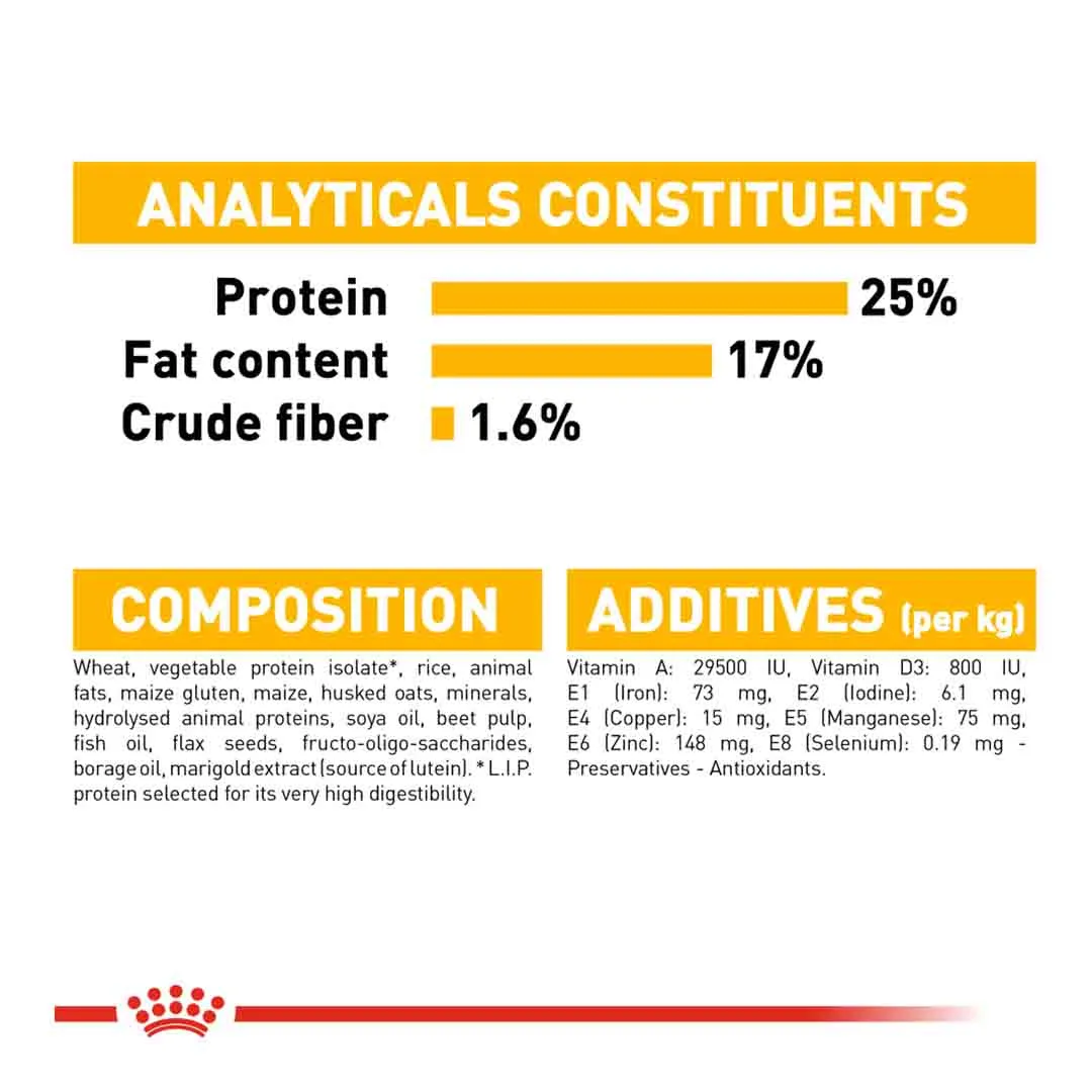 Royal Canin Maxi Dermacomfort 10kg - Image 4