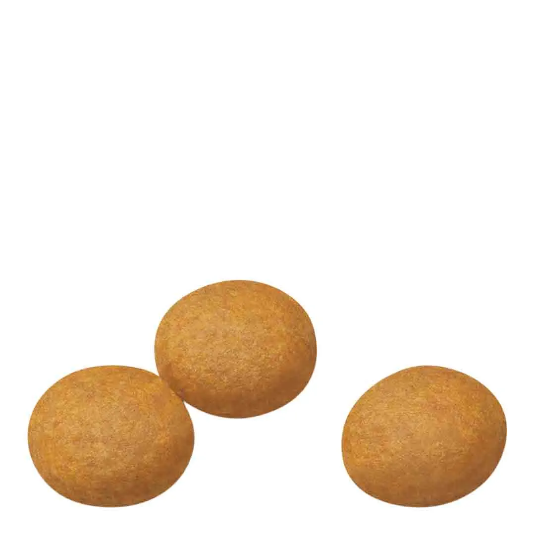 Royal Canin Maxi Dermacomfort 10kg - Image 6