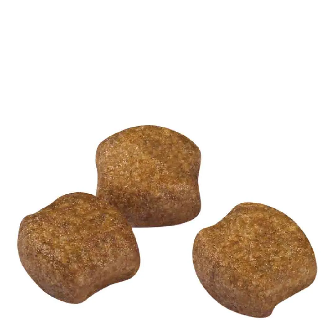 Royal Canin Medium Dental Care Adult Dry Dog Food 3kg - Image 5