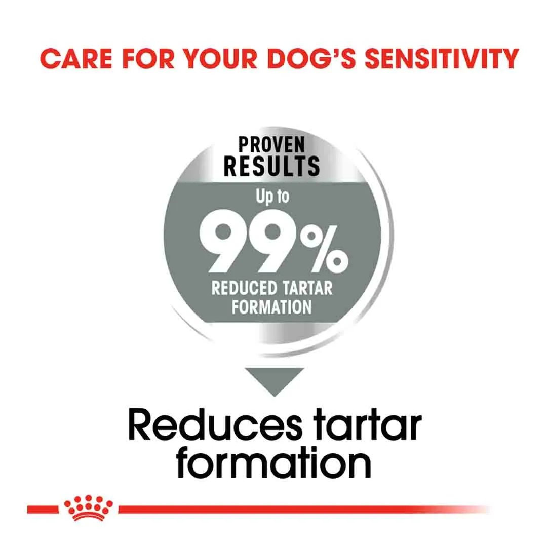 Royal Canin Medium Dental Care Adult Dry Dog Food 3kg - Image 2