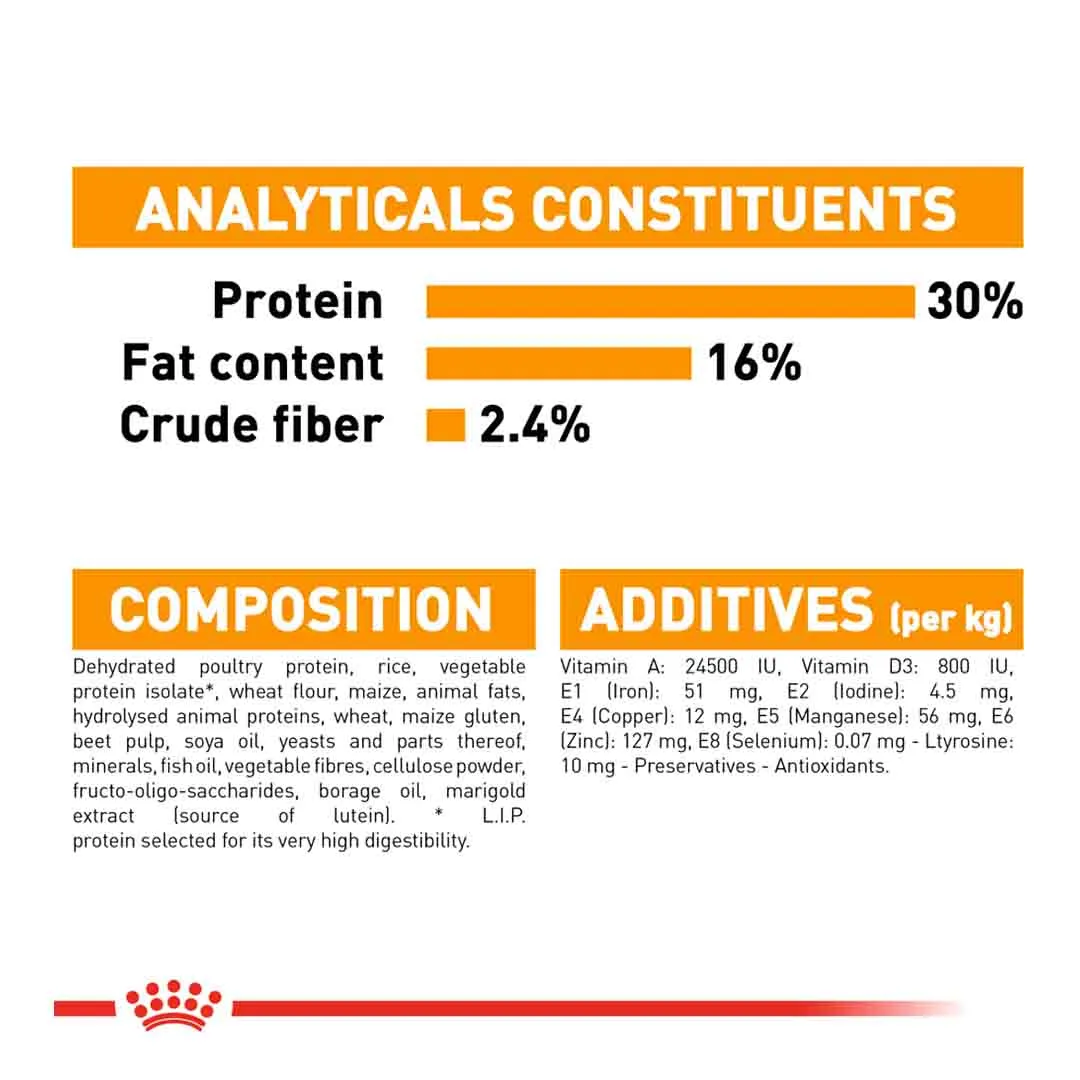 Royal Canin Mini Coat Care Adult Dry Dog Food 3kg - Image 3