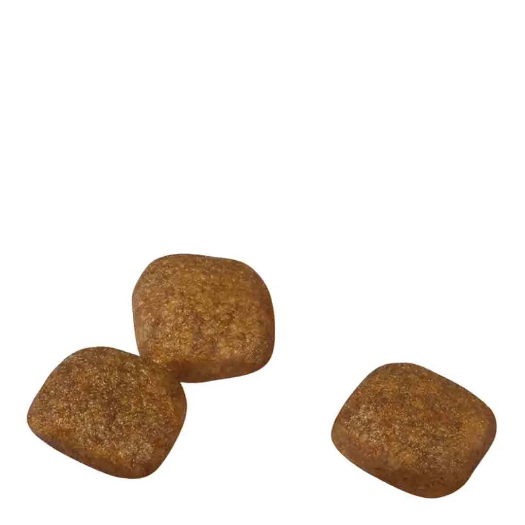 Royal Canin Mini Coat Care Adult Dry Dog Food 3kg - Image 5