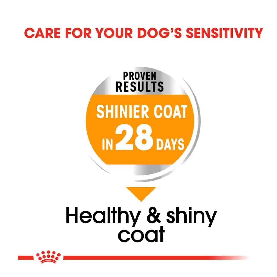 Royal Canin Mini Coat Care Adult Dry Dog Food 3kg - Image 2