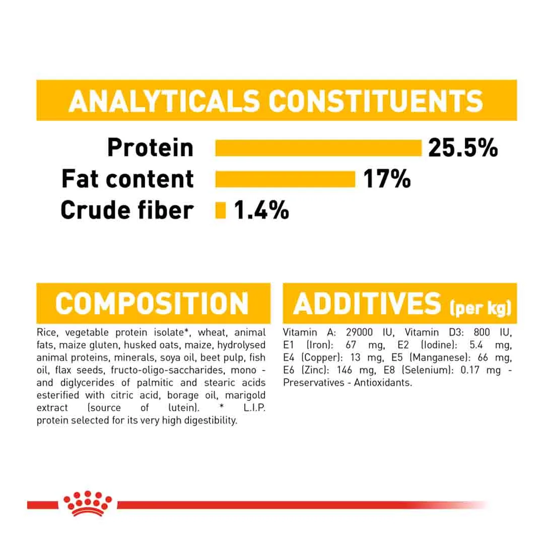 Royal Canin Mini Dermacomfort Care Adult Dry Dog Food 3kg - Image 4