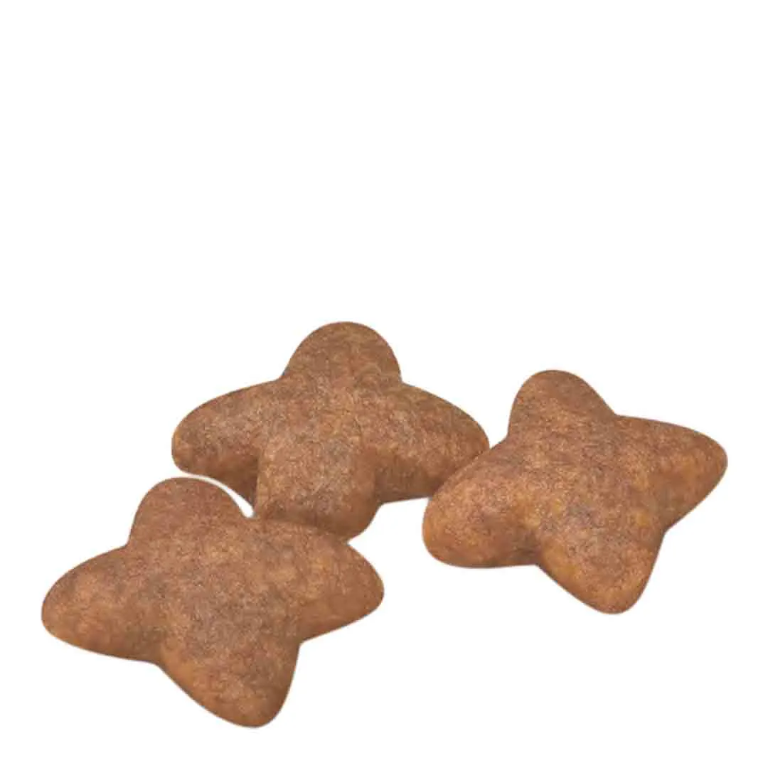 Royal Canin Mini Adult 8kg - Image 4