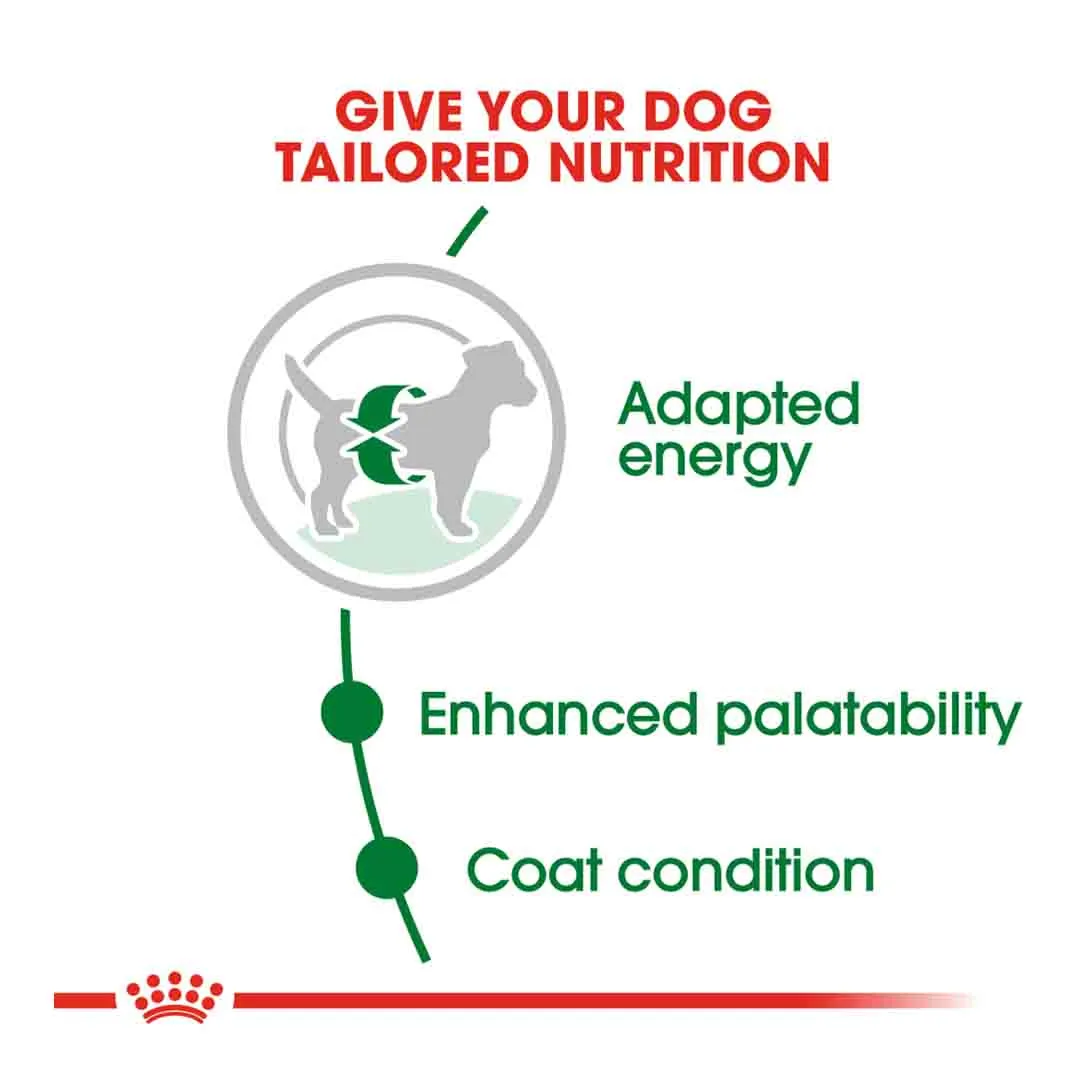 Royal Canin Mini Adult 8kg - Image 3