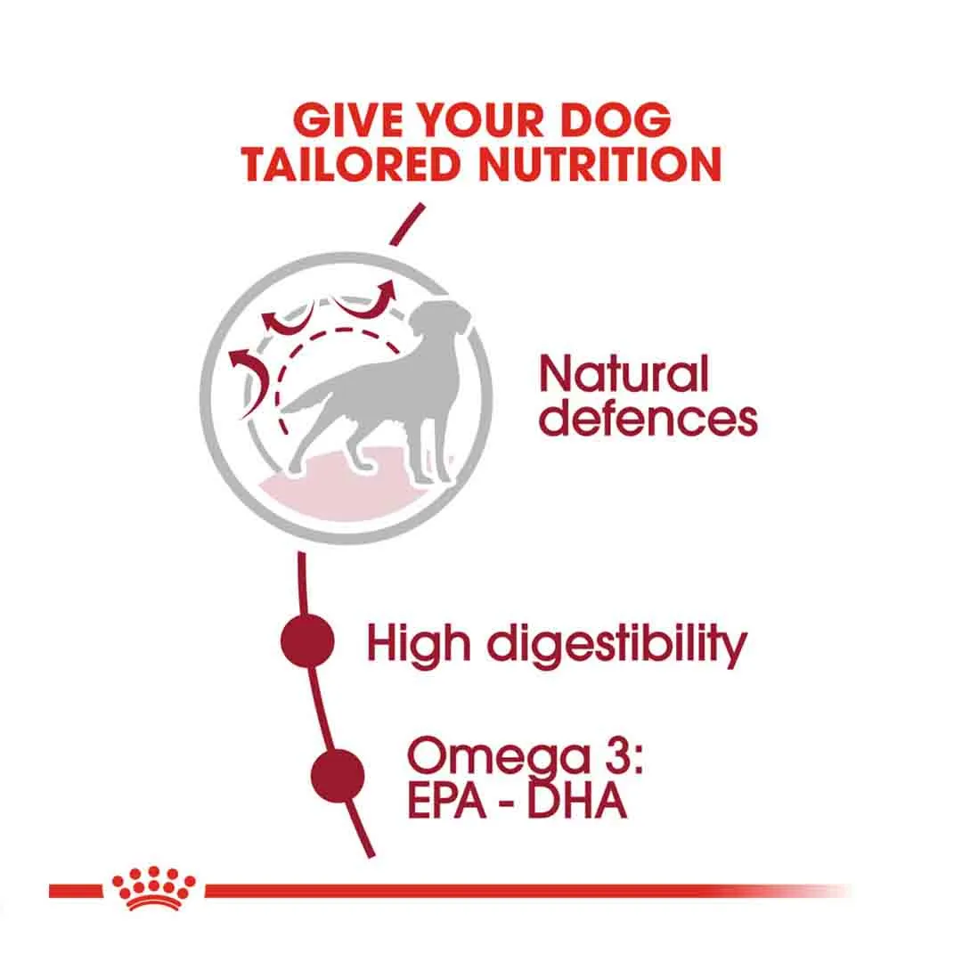 Royal Canin Medium Adult 15kg - Image 3