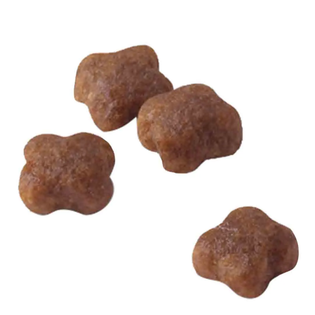 Royal Canin Mother & Babycat 2kg - Image 3