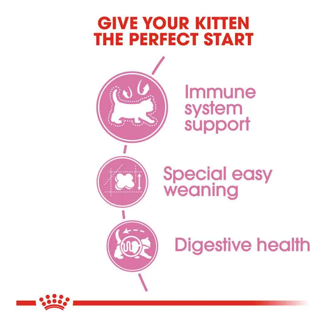 Royal Canin Mother & Babycat 2kg - Image 2