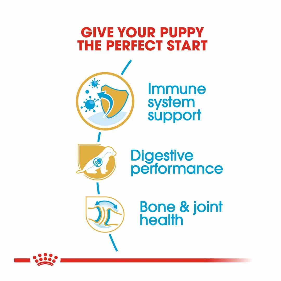 Royal Canin German Shepherd Junior 12kg - Image 3