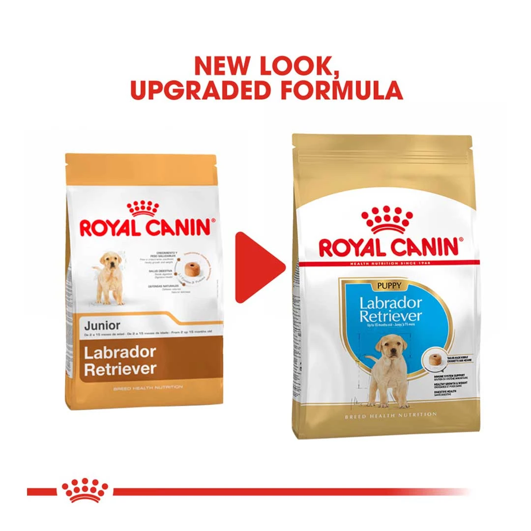 Royal Canin Labrador Retriever Junior 12kg - Image 2
